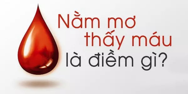Mơ Thấy Máu Đánh Con Gì Đạt Lợi Nhuận Lô Đề Cao Nhất