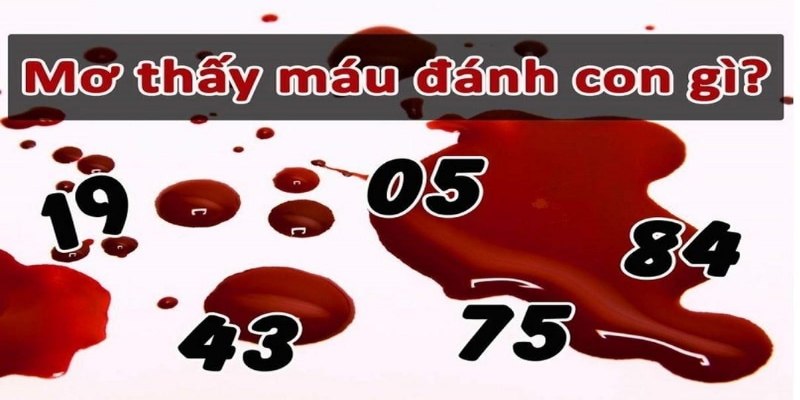 Phân loại chiêm bao xuất huyết cuộc sống