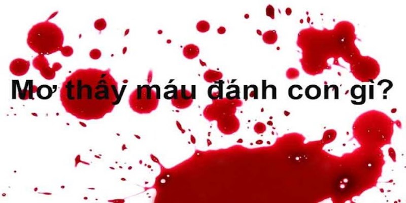 Phân tích giấc mộng để đặt tiền lô đề