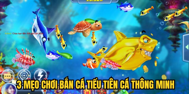 3 mẹo chơi Bắn Cá Tiểu Tiên Cá thông minh