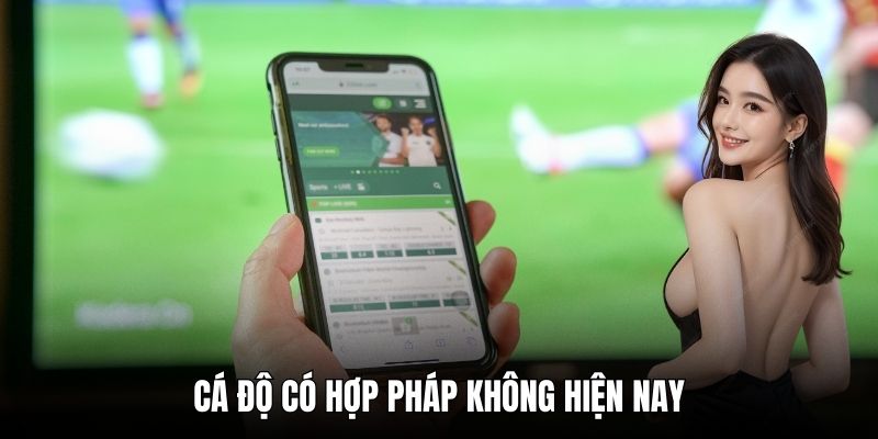 Cá độ có hợp pháp không hiện nay
