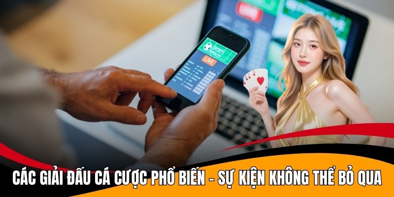 Các Giải Đấu Cá Cược Phổ Biến - Sự Kiện Không Thể Bỏ Qua