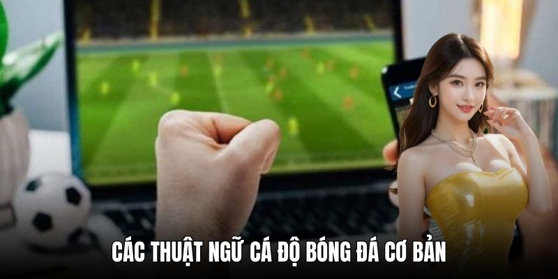 Các thuật ngữ cá độ bóng đá cơ bản
