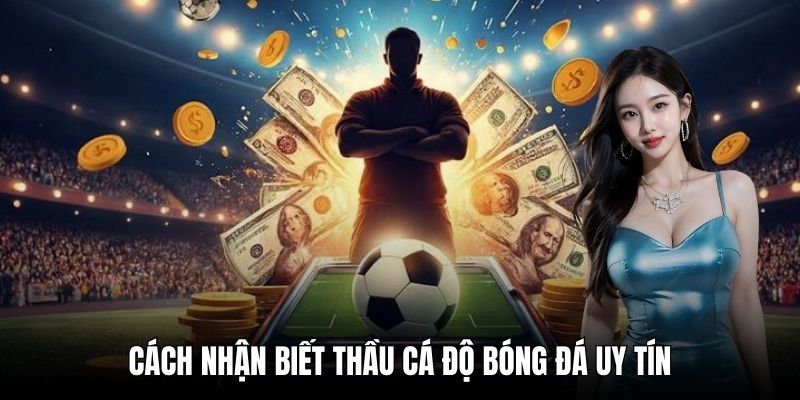 Cách nhận biết thầu cá độ bóng đá uy tín