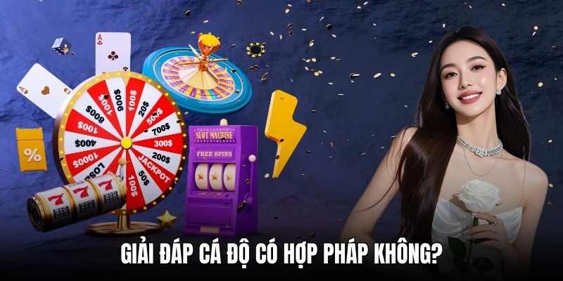 Giải đáp cá độ có hợp pháp không?