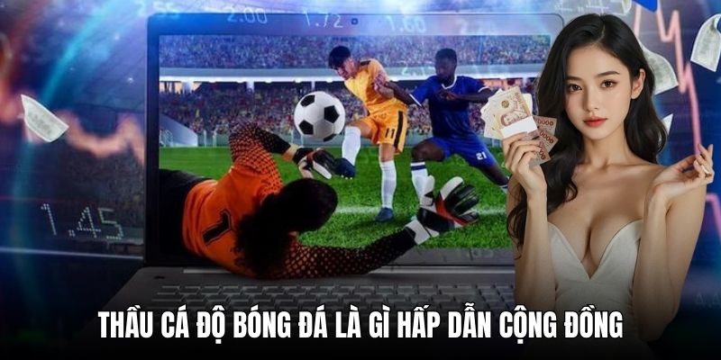 Thầu cá độ bóng đá là gì hấp dẫn cộng đồng