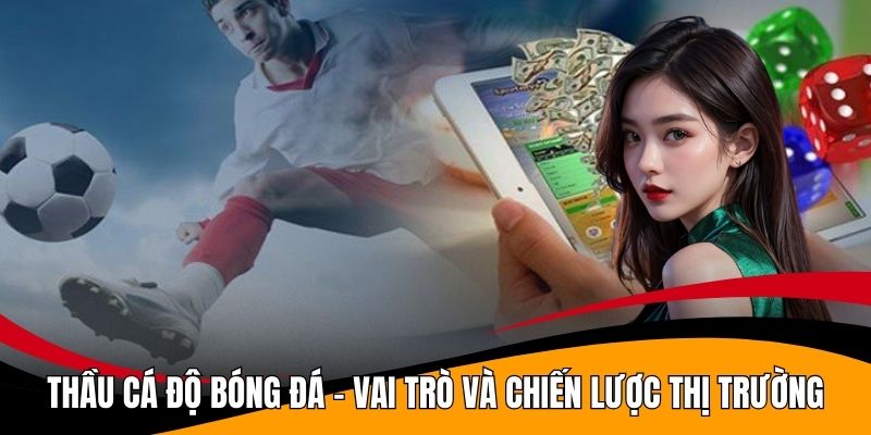 Thầu Cá Độ Bóng Đá - Vai Trò Và Chiến Lược Thị Trường