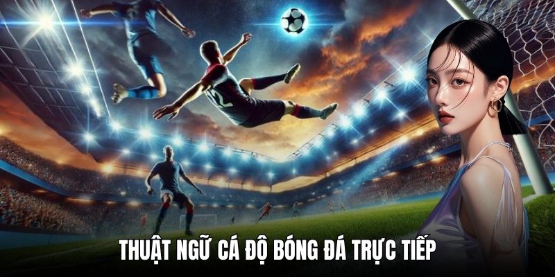 Thuật ngữ cá độ bóng đá trực tiếp