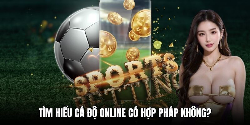 Tìm hiểu cá độ online có hợp pháp không?