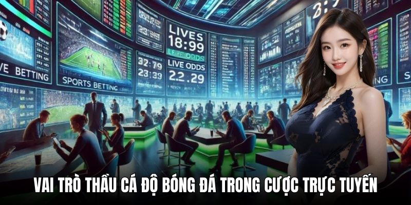 Vai trò thầu cá độ bóng đá trong cược trực tuyến