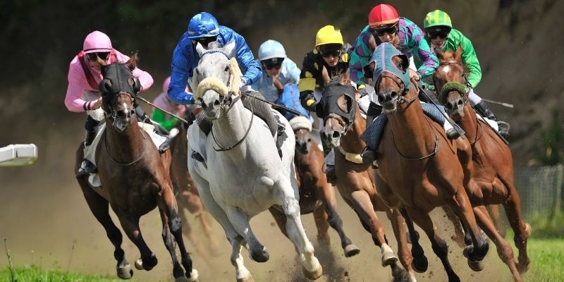 Các mẹo cá cược đua ngựa hiệu quả cao