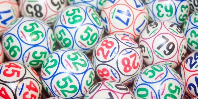 Mẹo nuôi dàn đề bất tử tăng cơ hội thắng lớn