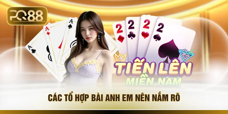 Các tổ hợp bài anh em nên nắm rõ