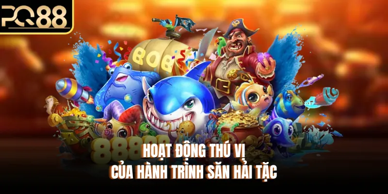 Hoạt động thú vị của hành trình săn hải tặc