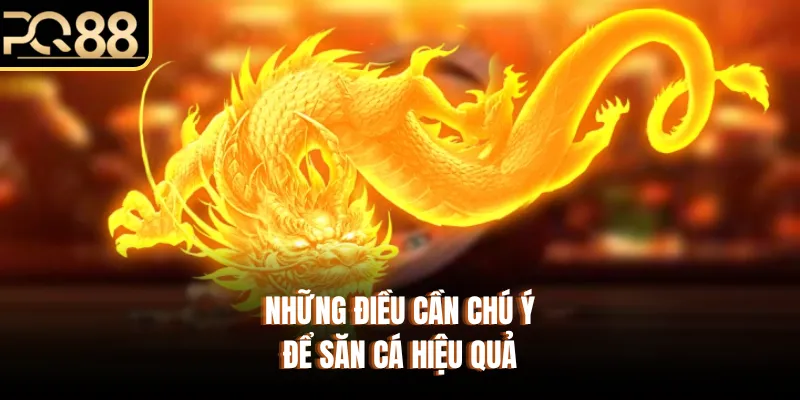 Những điều cần chú ý để săn cá hiệu quả
