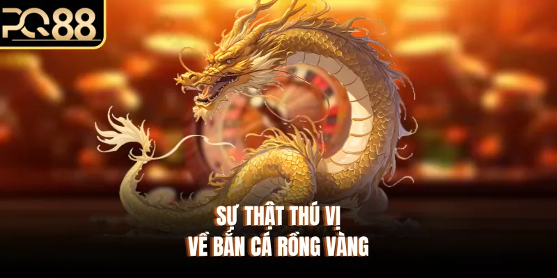 Sự thật thú vị về bắn cá rồng vàng