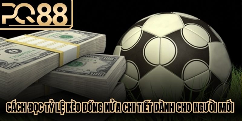 Cách đọc tỷ lệ kèo đồng nửa chi tiết dành cho người mới chơi