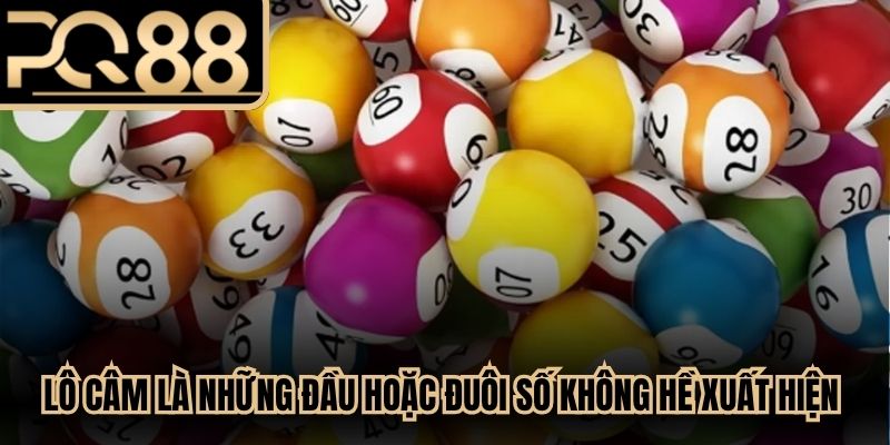 Lô câm là những đầu hoặc đuôi số không hề xuất hiện trong bảng KQXS