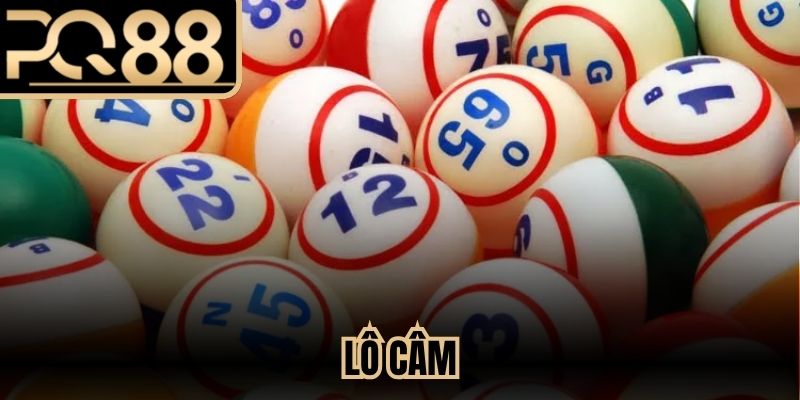 Lô Câm